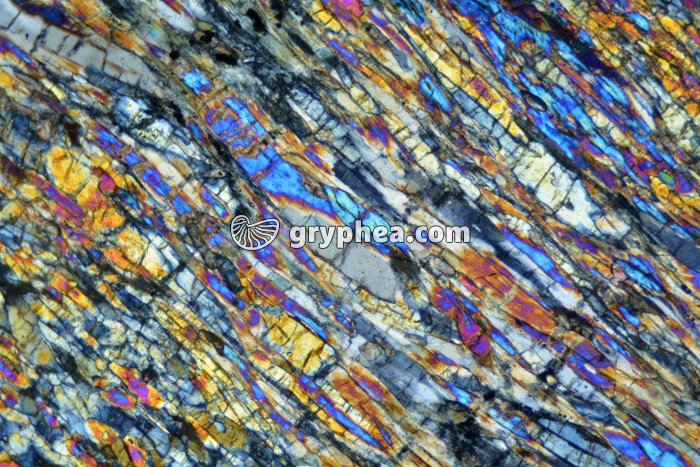 Schiste à grenats et glaucophane LPA x25 - gryphea.org